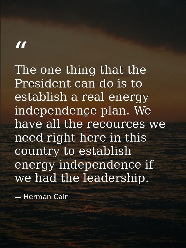 The one thing that the President can do is to establish a real energy independence plan. We have all the recources we ne — Herman Cain