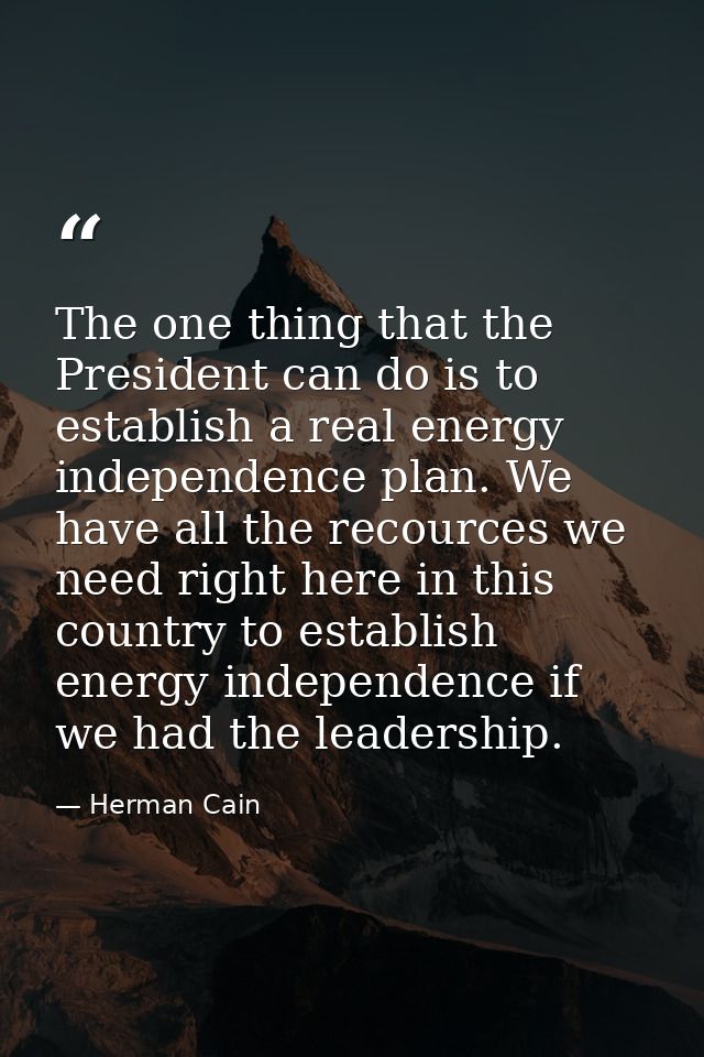 The one thing that the President can do is to establish a real energy independence plan. We have all the recources we ne — Herman Cain