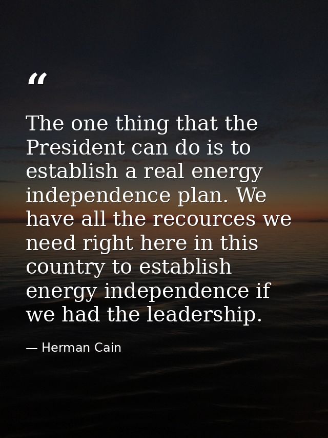 The one thing that the President can do is to establish a real energy independence plan. We have all the recources we ne — Herman Cain
