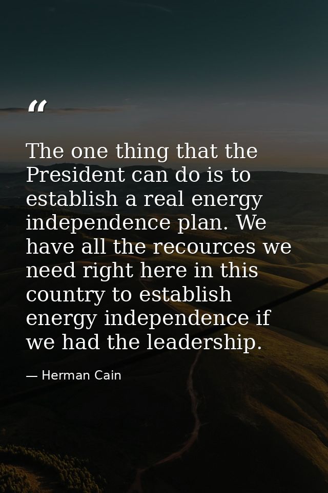 The one thing that the President can do is to establish a real energy independence plan. We have all the recources we ne — Herman Cain