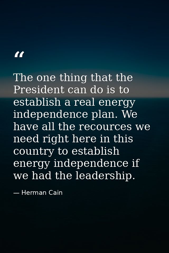 The one thing that the President can do is to establish a real energy independence plan. We have all the recources we ne — Herman Cain