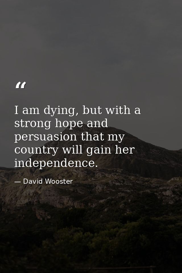 I am dying, but with a strong hope and persuasion that my country will gain her independence. — David Wooster
