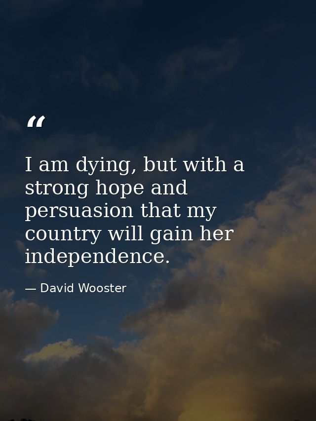 I am dying, but with a strong hope and persuasion that my country will gain her independence. — David Wooster