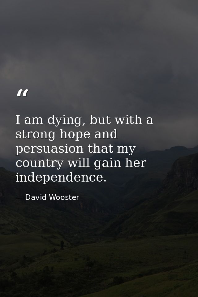 I am dying, but with a strong hope and persuasion that my country will gain her independence. — David Wooster