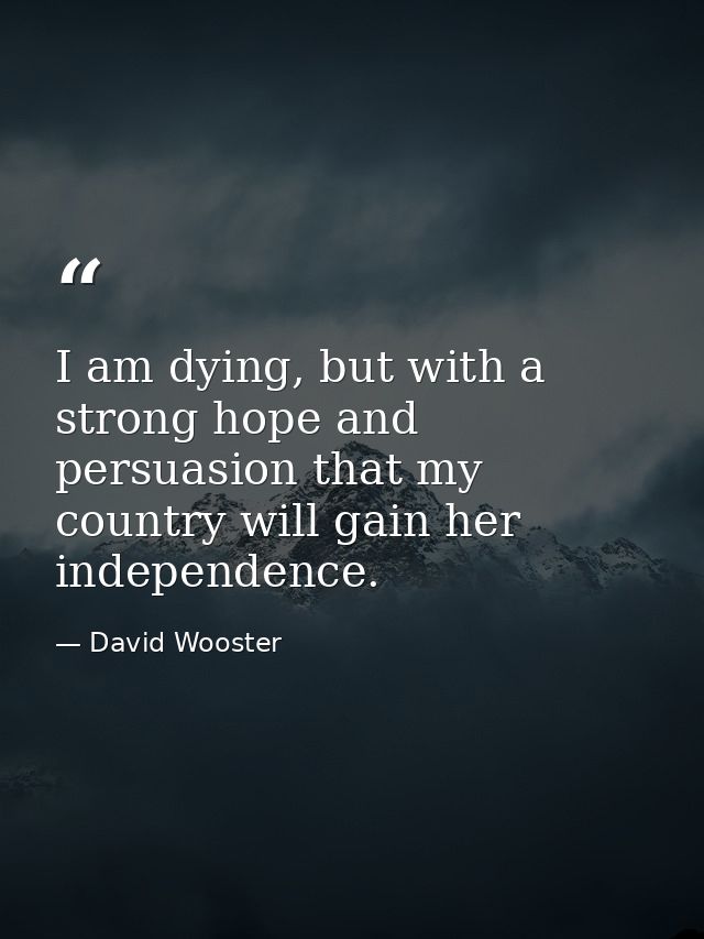 I am dying, but with a strong hope and persuasion that my country will gain her independence. — David Wooster