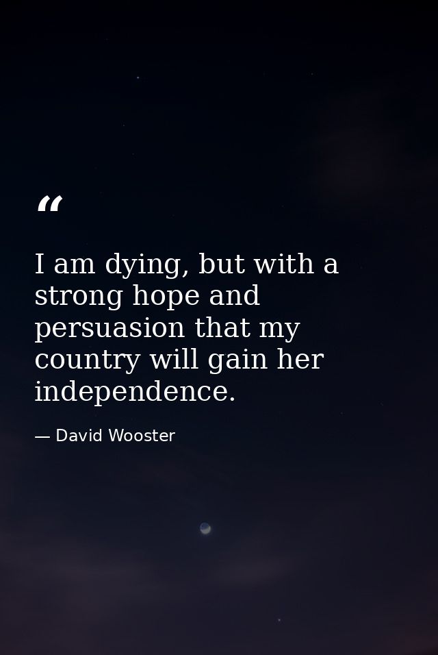 I am dying, but with a strong hope and persuasion that my country will gain her independence. — David Wooster