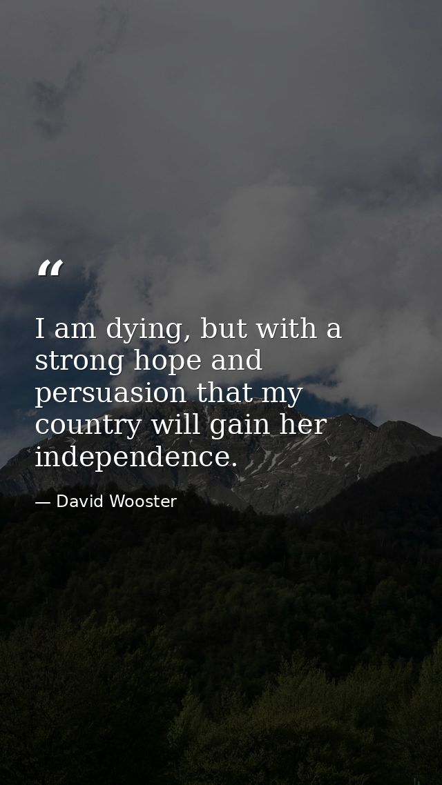 I am dying, but with a strong hope and persuasion that my country will gain her independence. — David Wooster