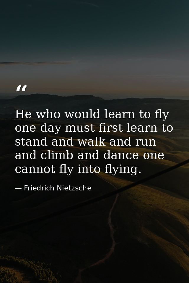 He who would learn to fly one day must first learn to stand and walk and run and climb and dance one cannot fly into fly — Friedrich Nietzsche