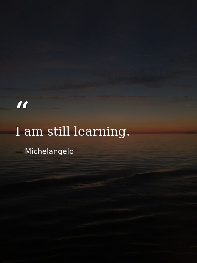 I am still learning. — Michelangelo