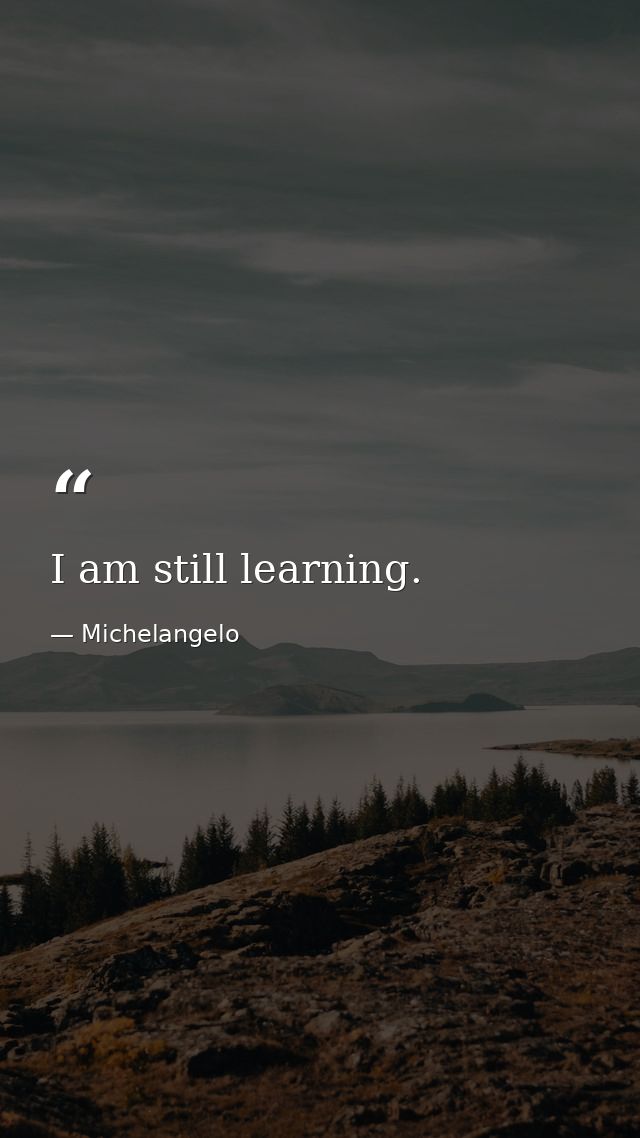 I am still learning. — Michelangelo