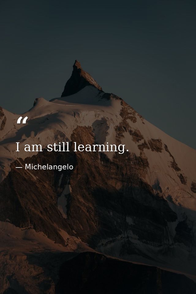 I am still learning. — Michelangelo