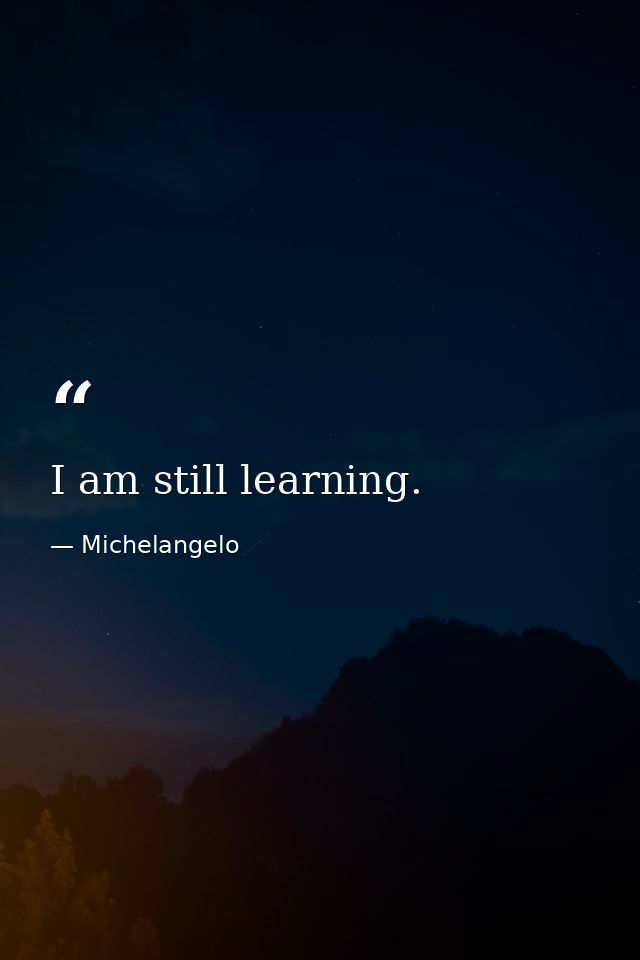I am still learning. — Michelangelo