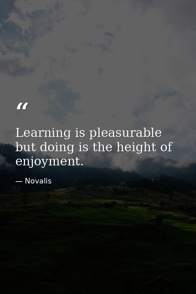 Learning is pleasurable but doing is the height of enjoyment. — Novalis