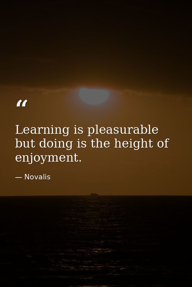 Learning is pleasurable but doing is the height of enjoyment. — Novalis