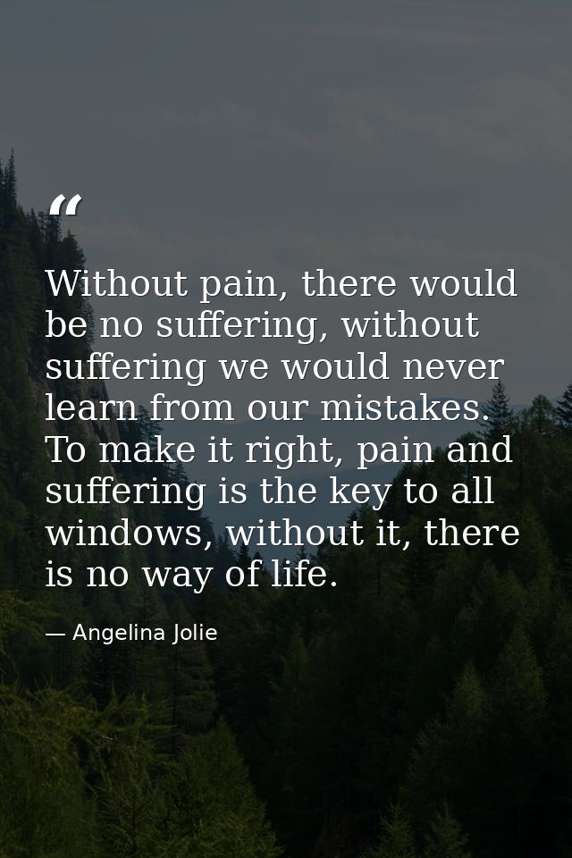 Without pain, there would be no suffering, without suffering we would never learn from our mistakes. To make it right, p — Angelina Jolie