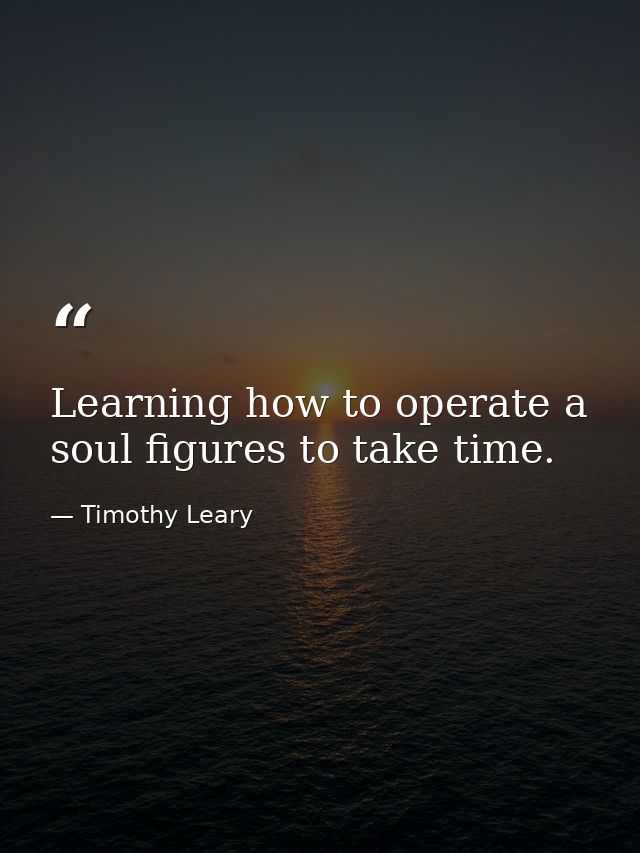 Learning how to operate a soul figures to take time. — Timothy Leary