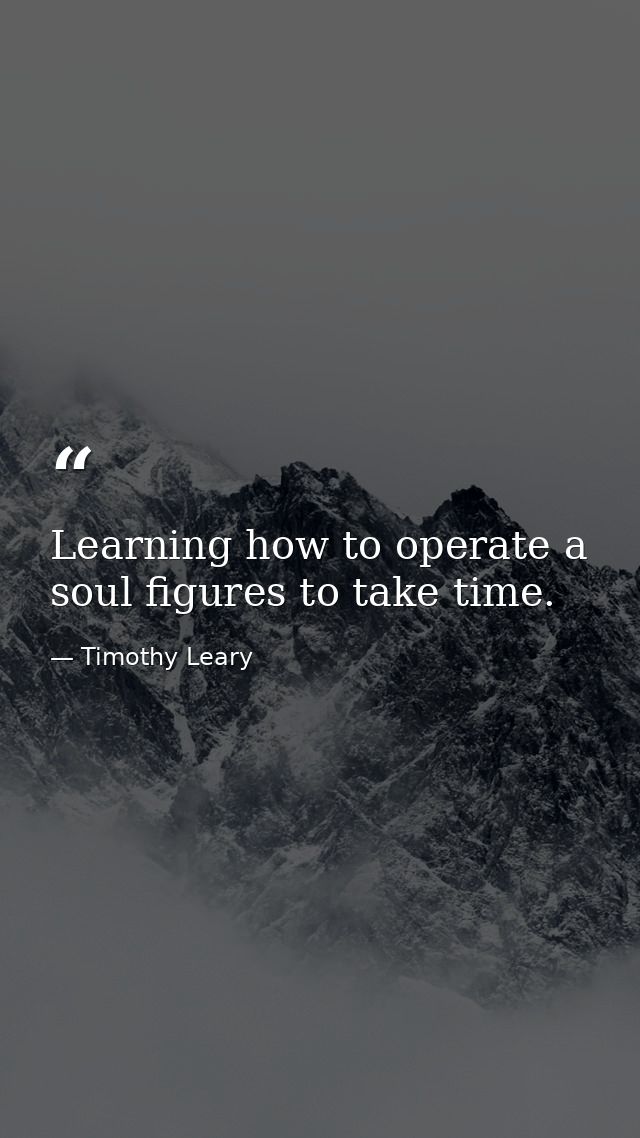Learning how to operate a soul figures to take time. — Timothy Leary