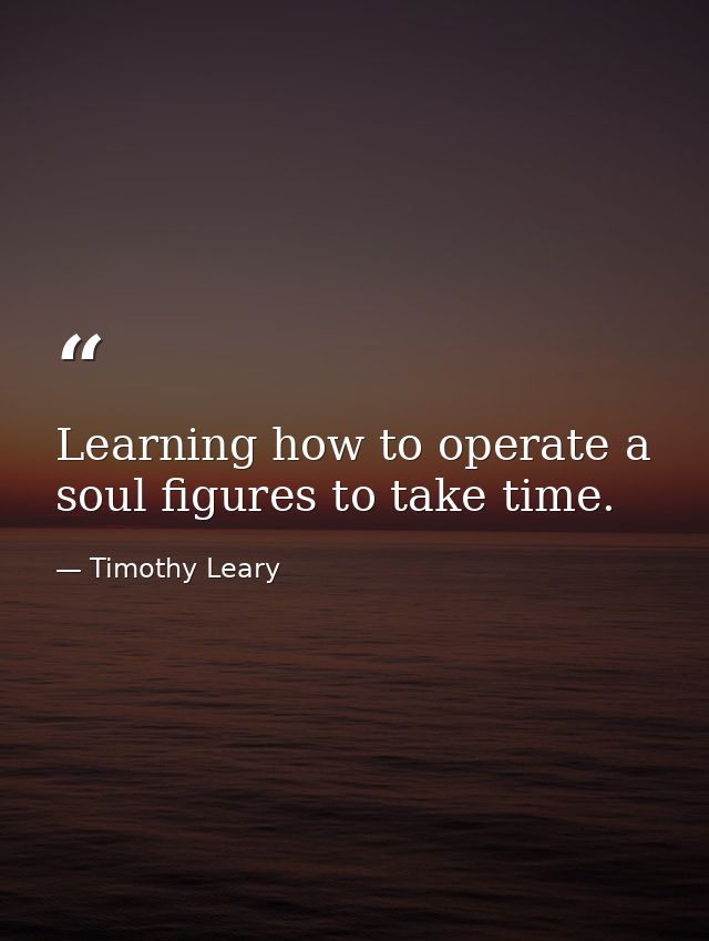 Learning how to operate a soul figures to take time. — Timothy Leary