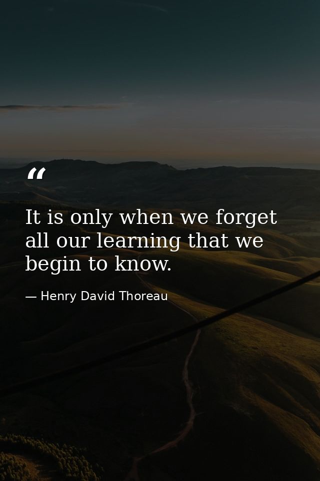 It is only when we forget all our learning that we begin to know. — Henry David Thoreau
