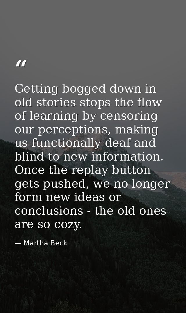 Getting bogged down in old stories stops the flow of learning by censoring our perceptions, making us functionally deaf  — Martha Beck