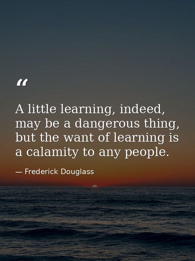 A little learning, indeed, may be a dangerous thing, but the want of learning is a calamity to any people. — Frederick Douglass