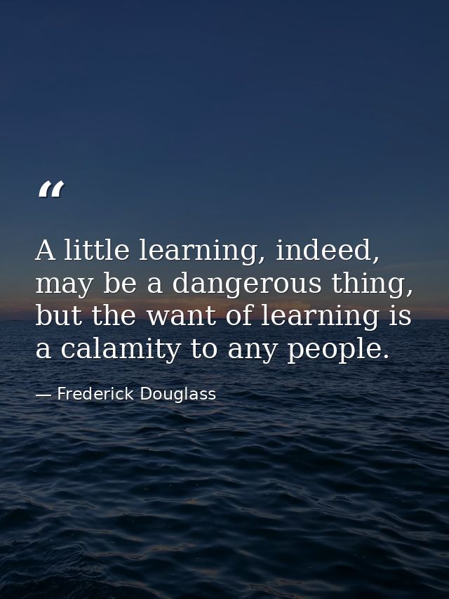 A little learning, indeed, may be a dangerous thing, but the want of learning is a calamity to any people. — Frederick Douglass