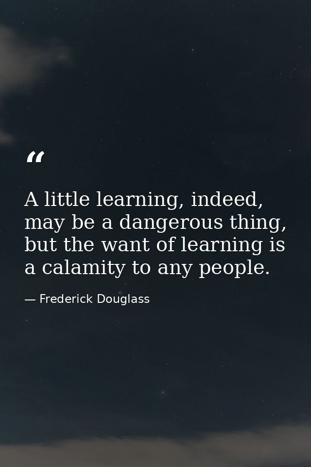 A little learning, indeed, may be a dangerous thing, but the want of learning is a calamity to any people. — Frederick Douglass
