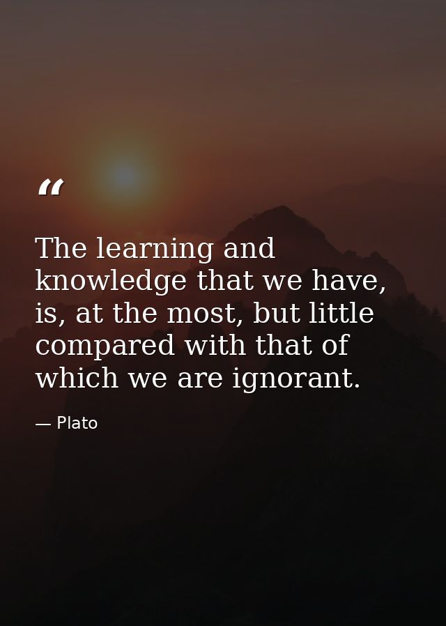 The learning and knowledge that we have, is, at the most, but little compared with that of which we are ignorant. — Plato