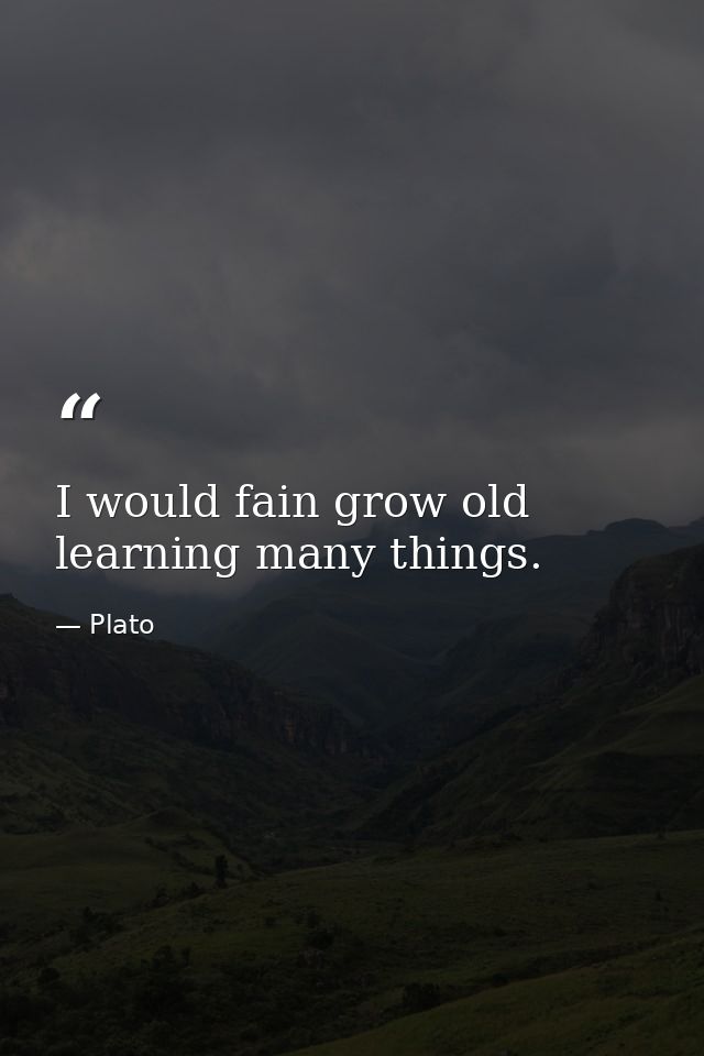 I would fain grow old learning many things. — Plato