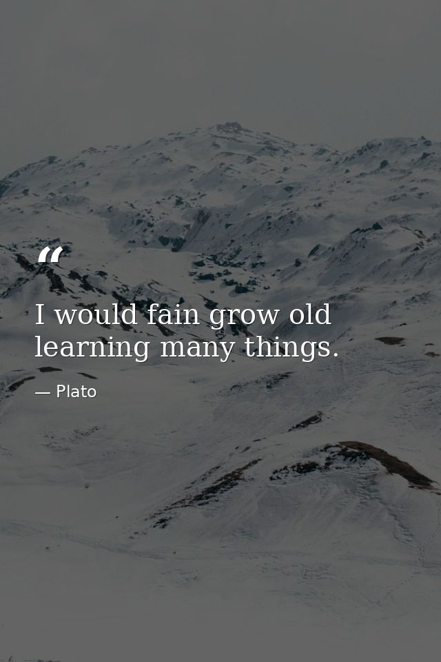 I would fain grow old learning many things. — Plato