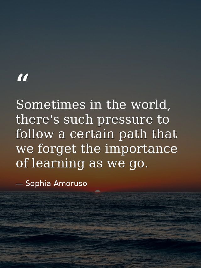 Sometimes in the world, there's such pressure to follow a certain path that we forget the importance of learning as we g — Sophia Amoruso