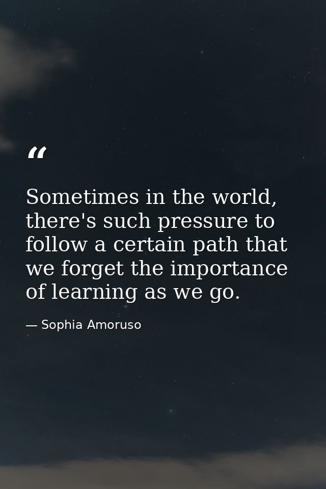 Sometimes in the world, there's such pressure to follow a certain path that we forget the importance of learning as we g — Sophia Amoruso