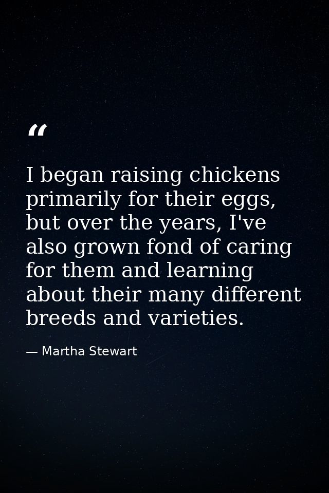 I began raising chickens primarily for their eggs, but over the years, I've also grown fond of caring for them and learn — Martha Stewart