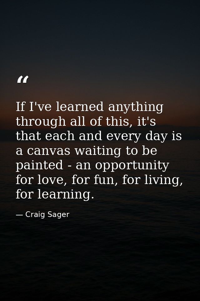 If I've learned anything through all of this, it's that each and every day is a canvas waiting to be painted - an opport — Craig Sager