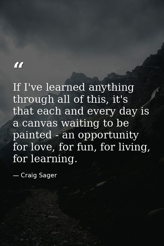 If I've learned anything through all of this, it's that each and every day is a canvas waiting to be painted - an opport — Craig Sager