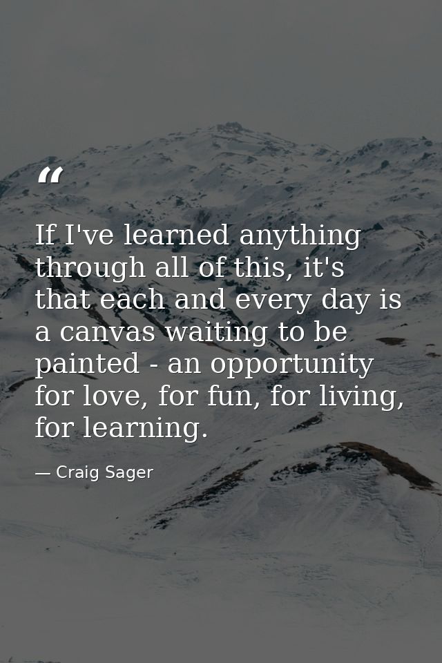 If I've learned anything through all of this, it's that each and every day is a canvas waiting to be painted - an opport — Craig Sager