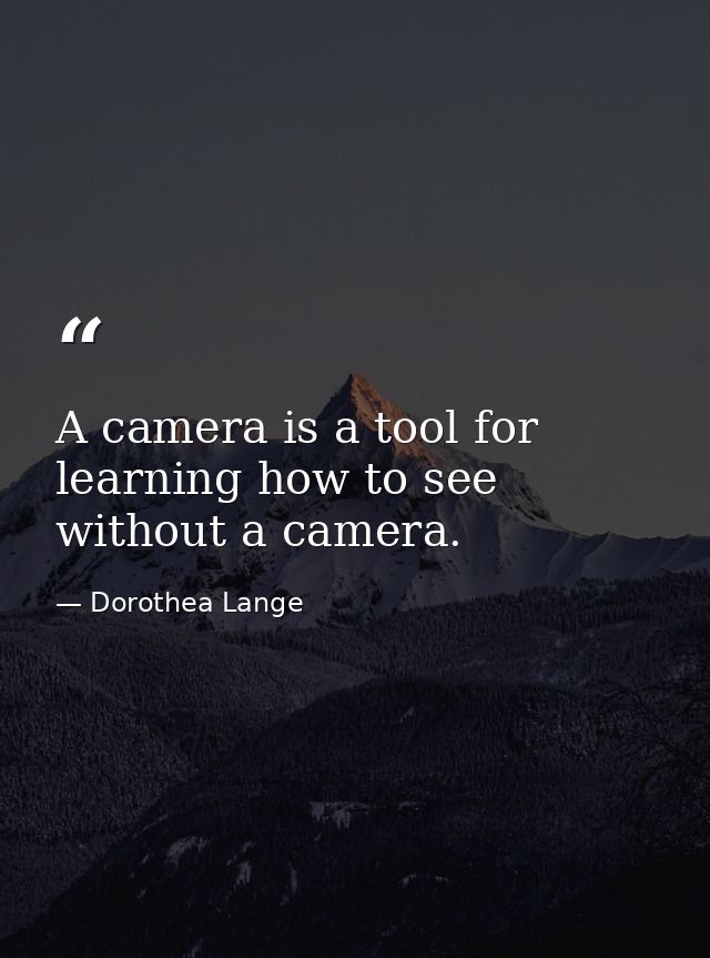 A camera is a tool for learning how to see without a camera. — Dorothea Lange