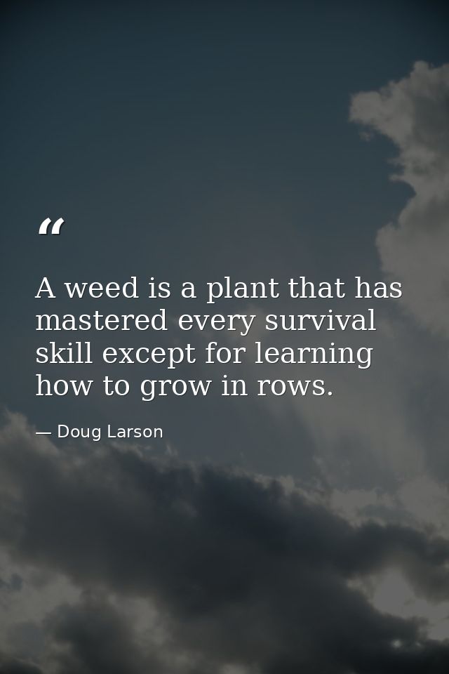 A weed is a plant that has mastered every survival skill except for learning how to grow in rows. — Doug Larson