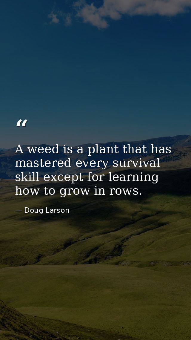 A weed is a plant that has mastered every survival skill except for learning how to grow in rows. — Doug Larson