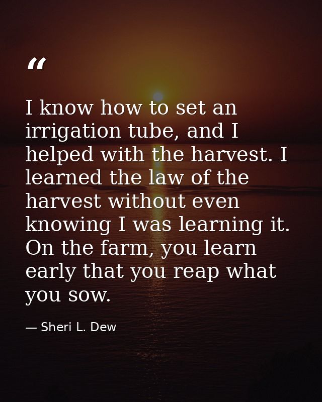 I know how to set an irrigation tube, and I helped with the harvest. I learned the law of the harvest without even knowi — Sheri L. Dew