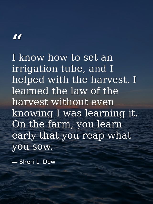 I know how to set an irrigation tube, and I helped with the harvest. I learned the law of the harvest without even knowi — Sheri L. Dew