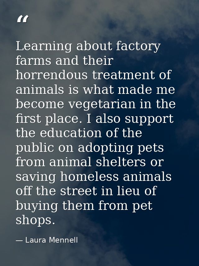 Learning about factory farms and their horrendous treatment of animals is what made me become vegetarian in the first pl — Laura Mennell