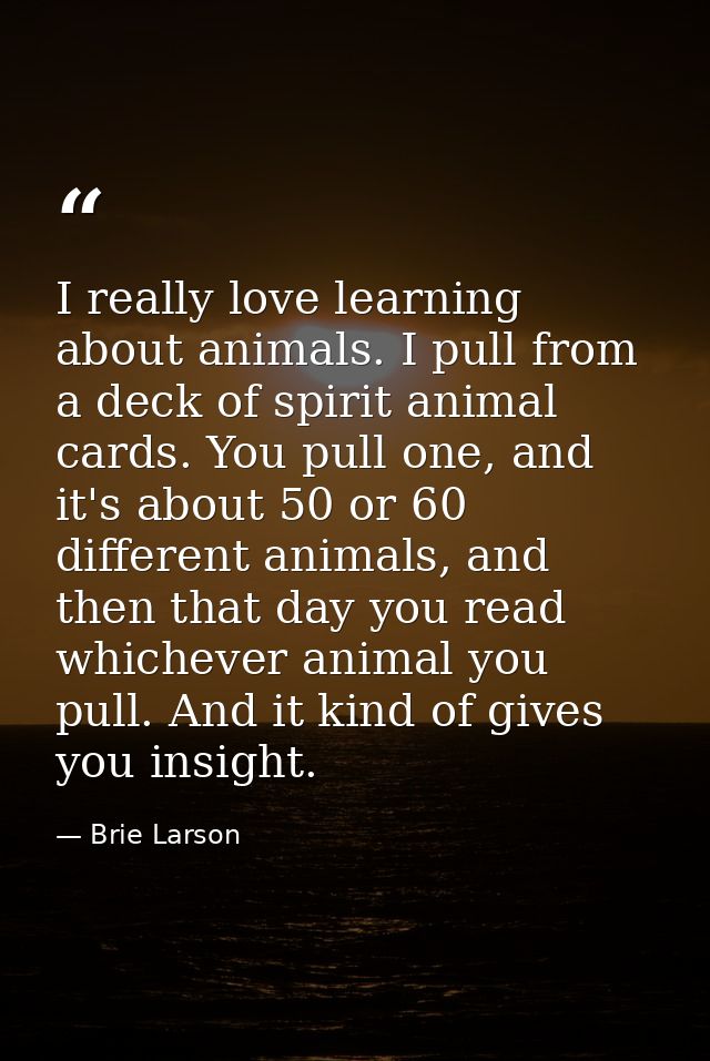 I really love learning about animals. I pull from a deck of spirit animal cards. You pull one, and it's about 50 or 60 d — Brie Larson