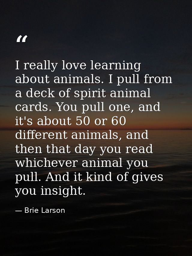 I really love learning about animals. I pull from a deck of spirit animal cards. You pull one, and it's about 50 or 60 d — Brie Larson