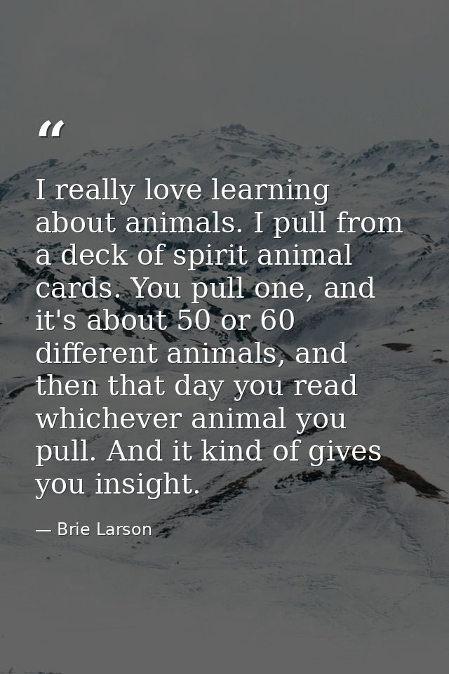 I really love learning about animals. I pull from a deck of spirit animal cards. You pull one, and it's about 50 or 60 d — Brie Larson