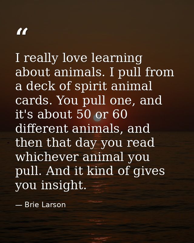 I really love learning about animals. I pull from a deck of spirit animal cards. You pull one, and it's about 50 or 60 d — Brie Larson