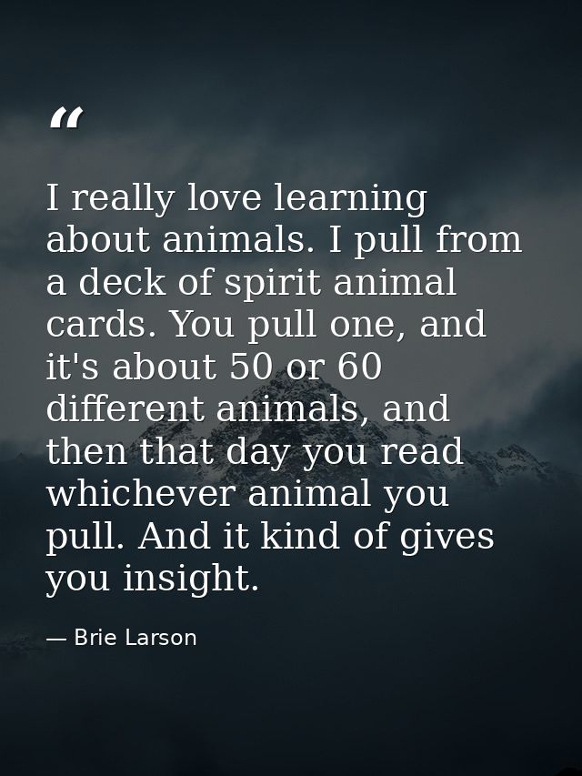 I really love learning about animals. I pull from a deck of spirit animal cards. You pull one, and it's about 50 or 60 d — Brie Larson