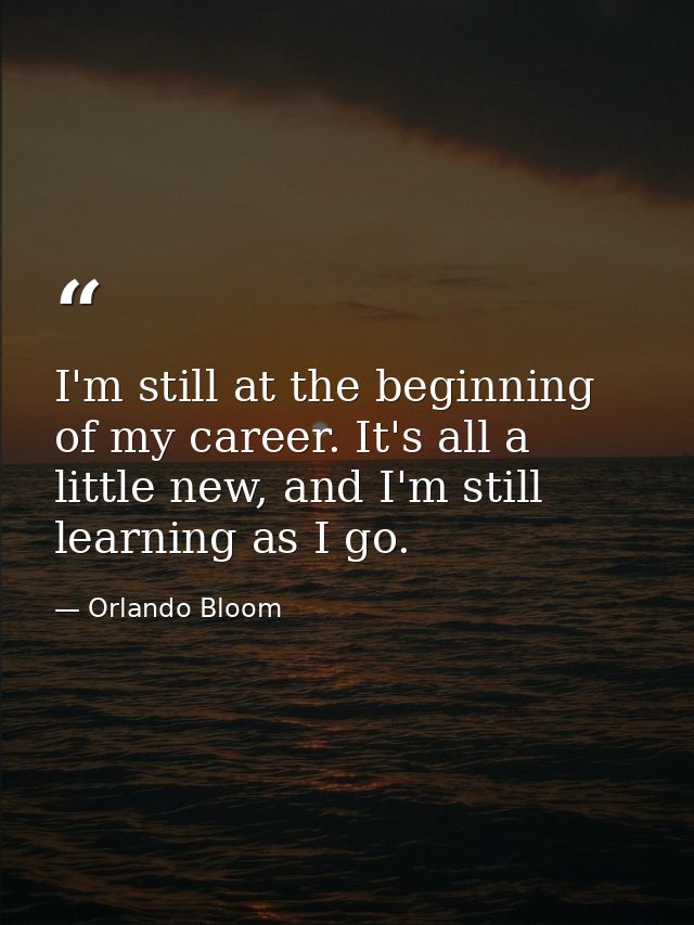 I'm still at the beginning of my career. It's all a little new, and I'm still learning as I go. — Orlando Bloom