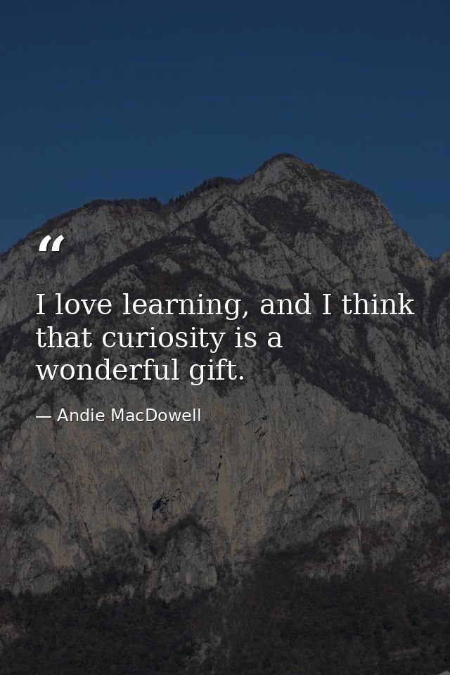 I love learning, and I think that curiosity is a wonderful gift. — Andie MacDowell