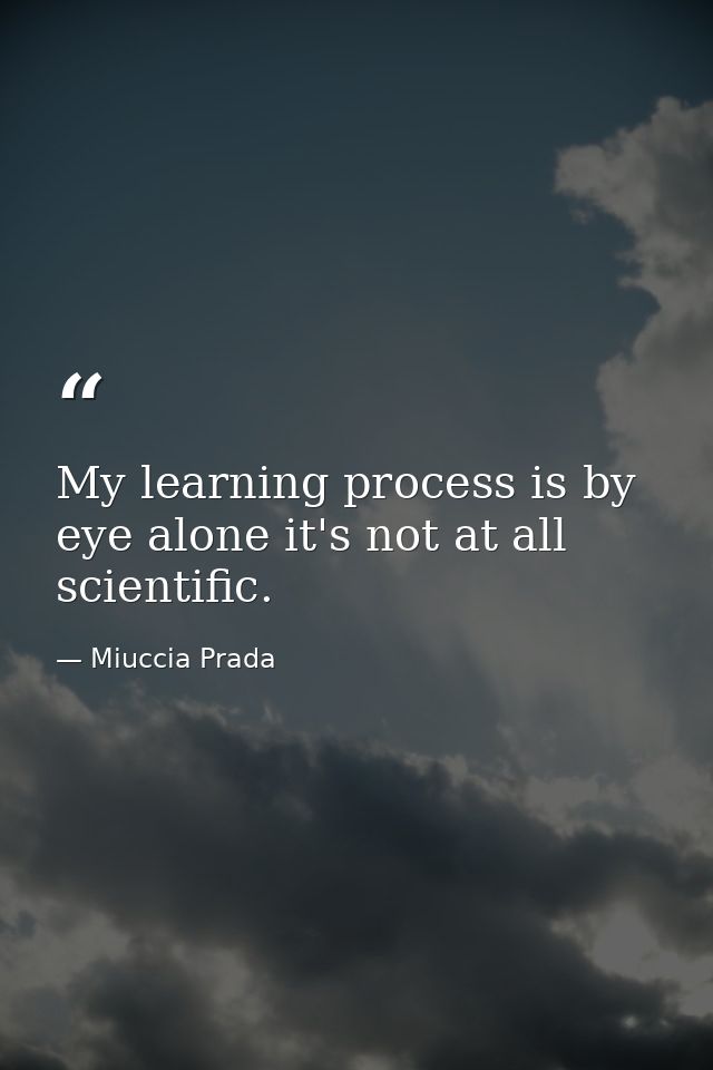 My learning process is by eye alone it's not at all scientific. — Miuccia Prada